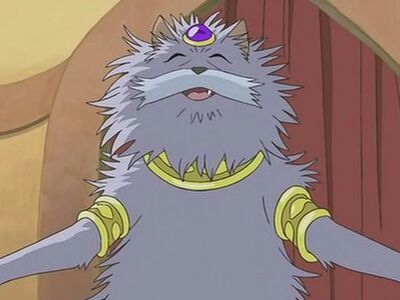 Image de Le roi des chats